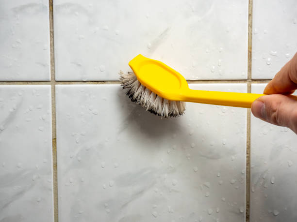 Best Home Mold Removal  in Newport, TN