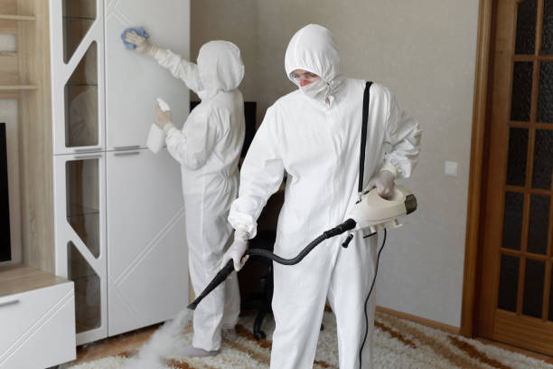 Attic Mold Removal in Newport, TN