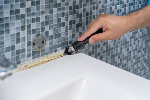 Best Mold Removal Company Near Me  in Newport, TN