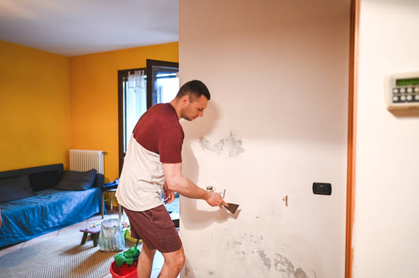 Best Certified Mold Removal  in Newport, TN