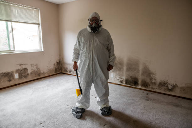 Best Affordable Mold Removal  in Newport, TN